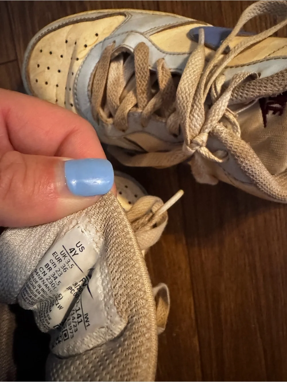 Nike Kids White and Blue Low-Top Sneakers dunks